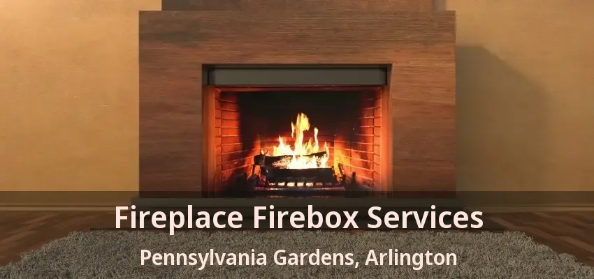 Fireplace Firebox Services Pennsylvania Gardens, Arlington - TX