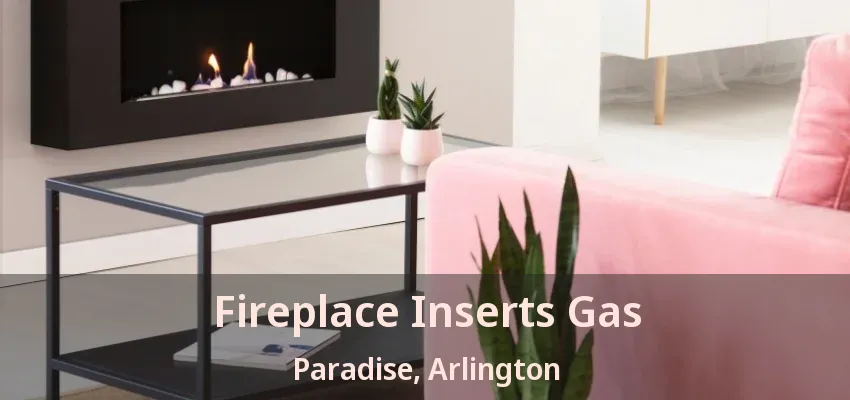 Fireplace Inserts Gas Paradise, Arlington - TX