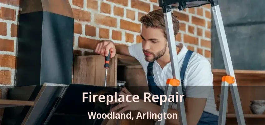 Fireplace Repair Woodland, Arlington - TX