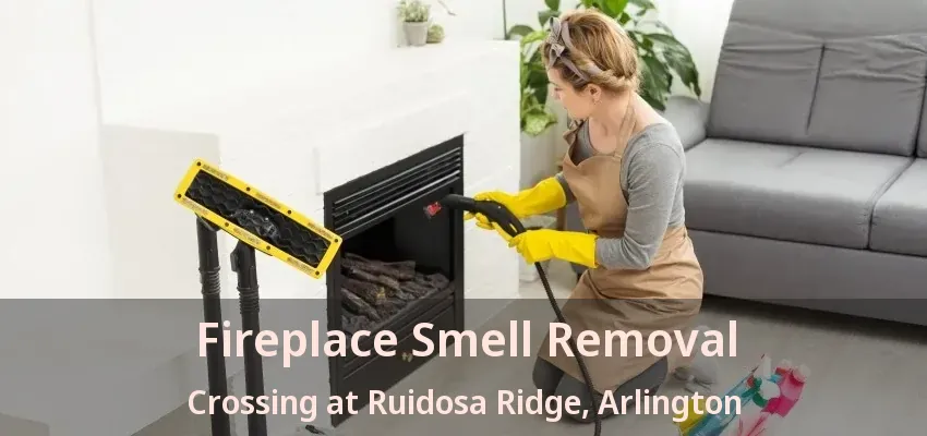 Fireplace Smell Removal Crossing at Ruidosa Ridge, Arlington - TX