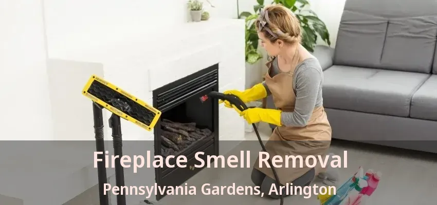 Fireplace Smell Removal Pennsylvania Gardens, Arlington - TX