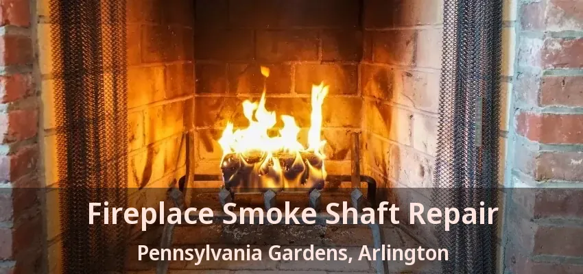 Fireplace Smoke Shaft Repair Pennsylvania Gardens, Arlington - TX