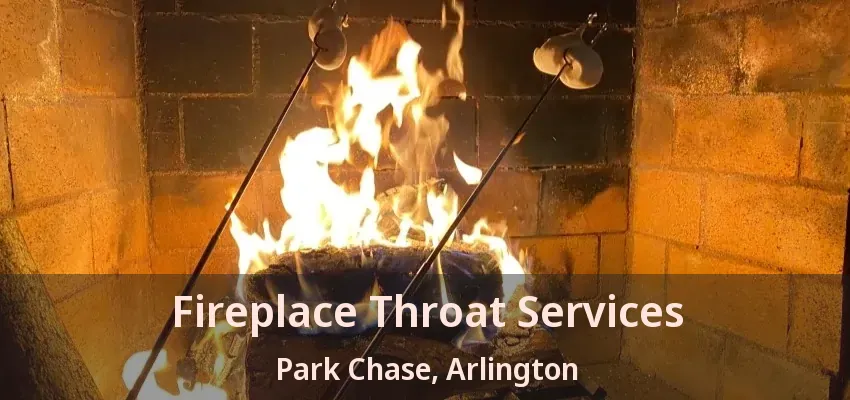 Fireplace Throat Services Park Chase, Arlington - TX