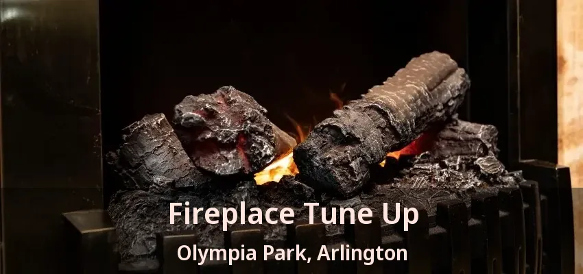 Fireplace Tune Up Olympia Park, Arlington - TX