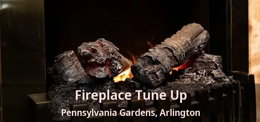 Fireplace Tune Up Pennsylvania Gardens, Arlington - TX