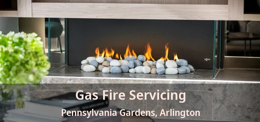 Gas Fire Servicing Pennsylvania Gardens, Arlington - TX