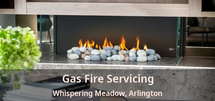 Gas Fire Servicing Whispering Meadow, Arlington - TX