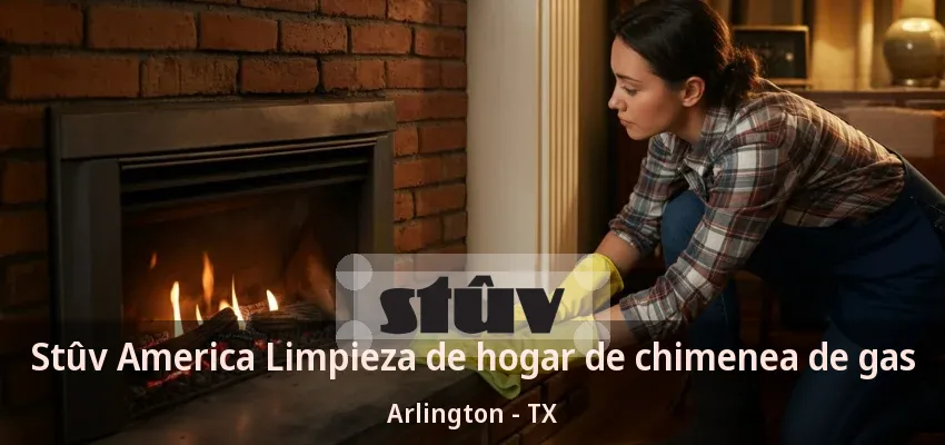 Stûv America Limpieza de hogar de chimenea de gas Arlington - TX Stûv America Limpieza de hogar de chimenea de gas Arlington - TX