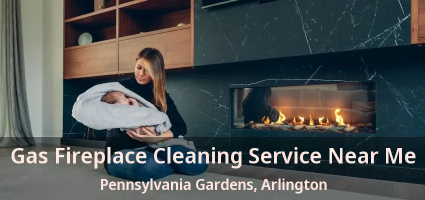 Gas Fireplace Cleaning Service Near Me Pennsylvania Gardens, Arlington - TX