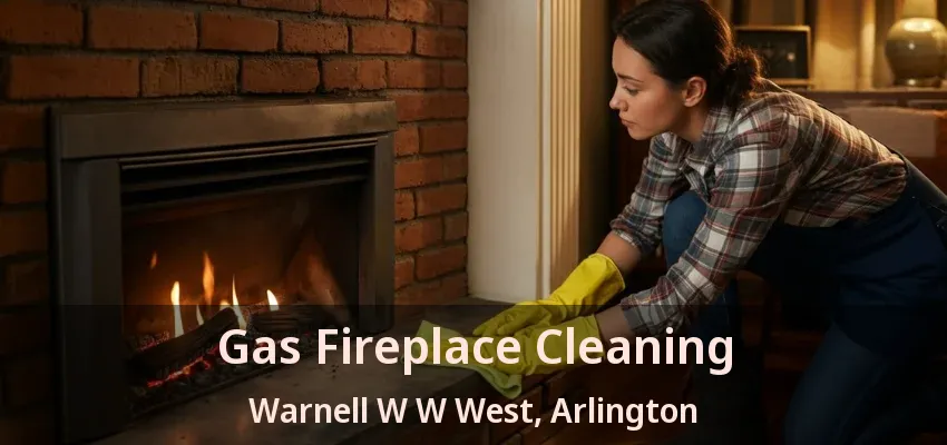 Gas Fireplace Cleaning Warnell W W West, Arlington - TX