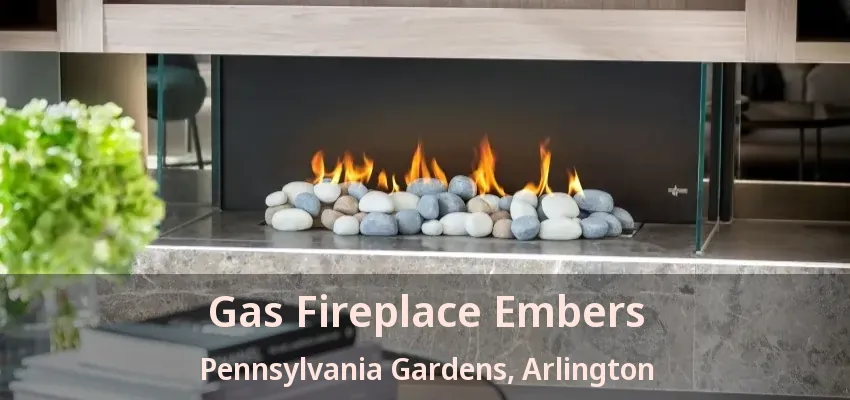 Gas Fireplace Embers Pennsylvania Gardens, Arlington - TX