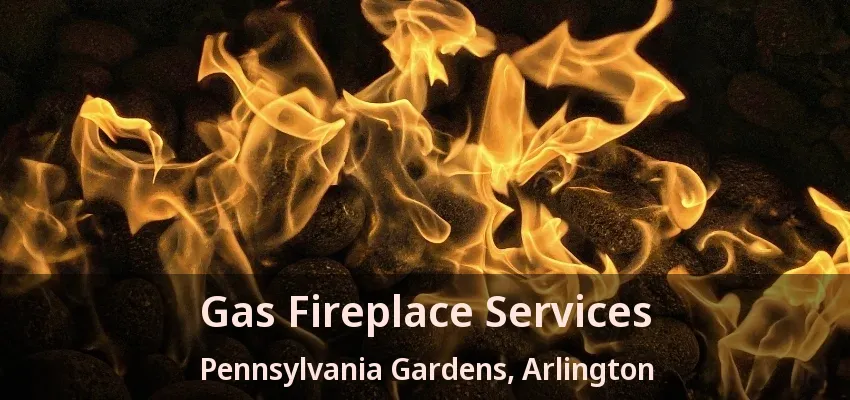 Gas Fireplace Services Pennsylvania Gardens, Arlington - TX