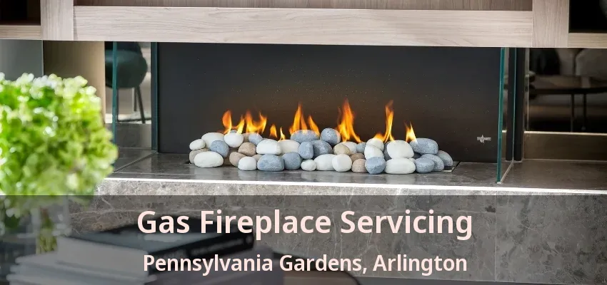 Gas Fireplace Servicing Pennsylvania Gardens, Arlington - TX