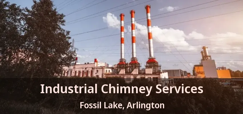 Industrial Chimney Services Fossil Lake, Arlington - TX