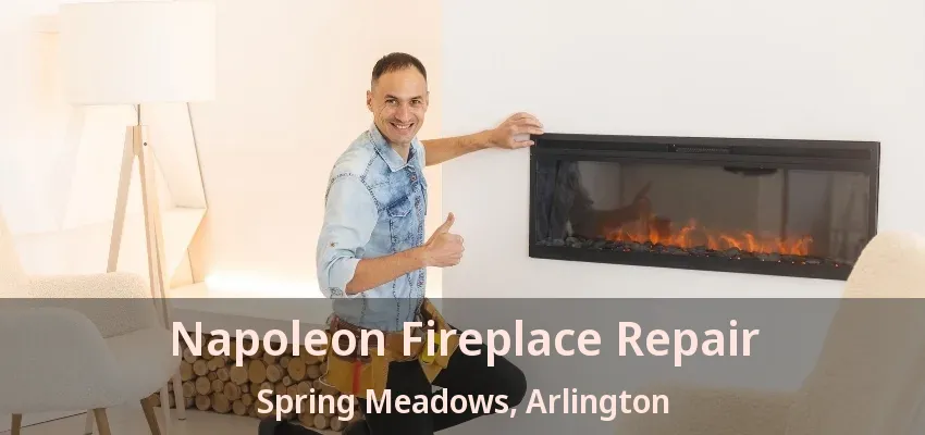 Napoleon Fireplace Repair Spring Meadows, Arlington - TX