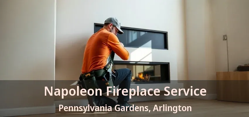 Napoleon Fireplace Service Pennsylvania Gardens, Arlington - TX