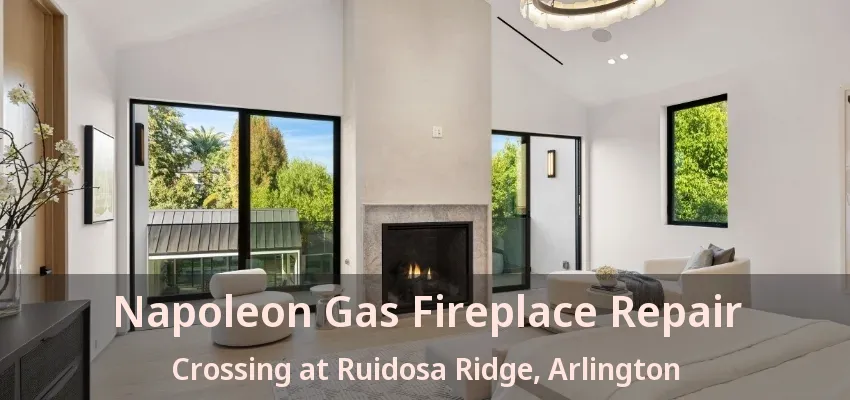 Napoleon Gas Fireplace Repair Crossing at Ruidosa Ridge, Arlington - TX