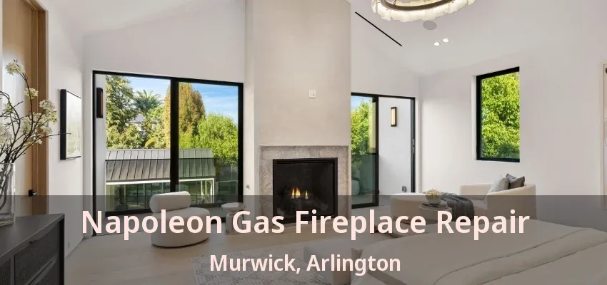 Napoleon Gas Fireplace Repair Murwick, Arlington - TX