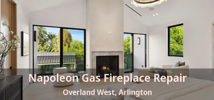 Napoleon Gas Fireplace Repair Overland West, Arlington - TX
