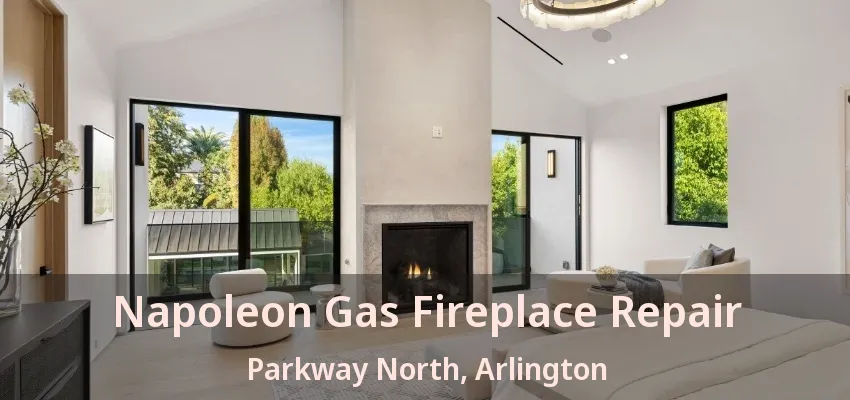 Napoleon Gas Fireplace Repair Parkway North, Arlington - TX