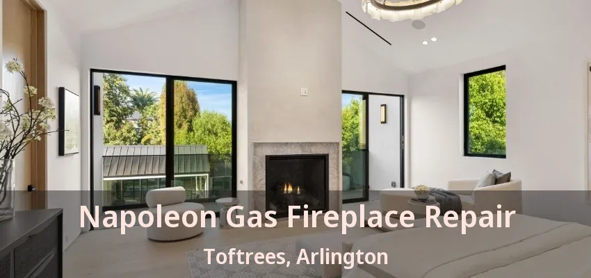 Napoleon Gas Fireplace Repair Toftrees, Arlington - TX