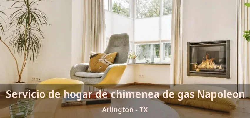 Servicio de hogar de chimenea de gas Napoleon Arlington - TX