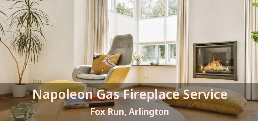 Napoleon Gas Fireplace Service Fox Run, Arlington - TX