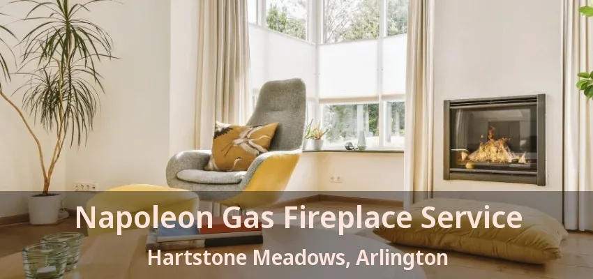 Napoleon Gas Fireplace Service Hartstone Meadows, Arlington - TX