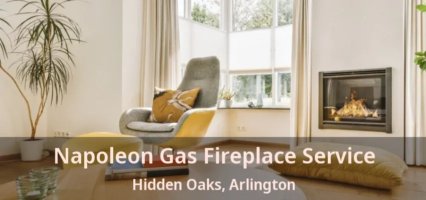Napoleon Gas Fireplace Service Hidden Oaks, Arlington - TX