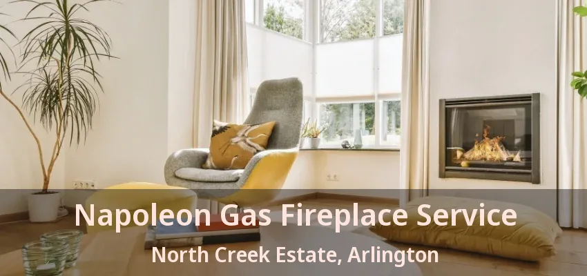 Napoleon Gas Fireplace Service North Creek Estate, Arlington - TX