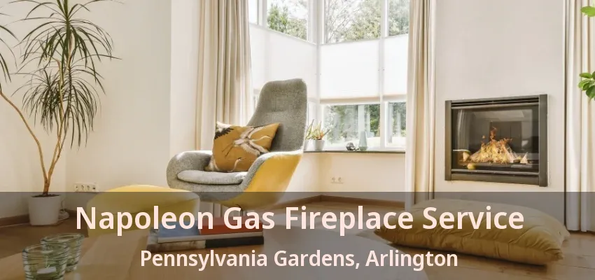 Napoleon Gas Fireplace Service Pennsylvania Gardens, Arlington - TX