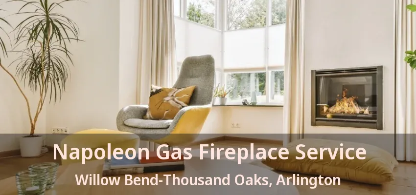 Napoleon Gas Fireplace Service Willow Bend-Thousand Oaks, Arlington - TX