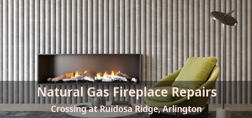 Natural Gas Fireplace Repairs Crossing at Ruidosa Ridge, Arlington - TX