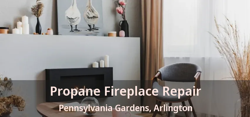 Propane Fireplace Repair Pennsylvania Gardens, Arlington - TX