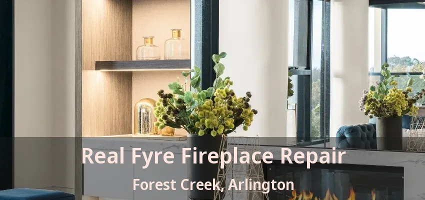 Real Fyre Fireplace Repair Forest Creek, Arlington - TX