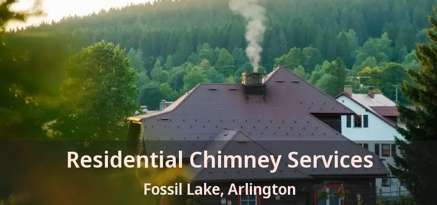 Residential Chimney Services Fossil Lake, Arlington - TX
