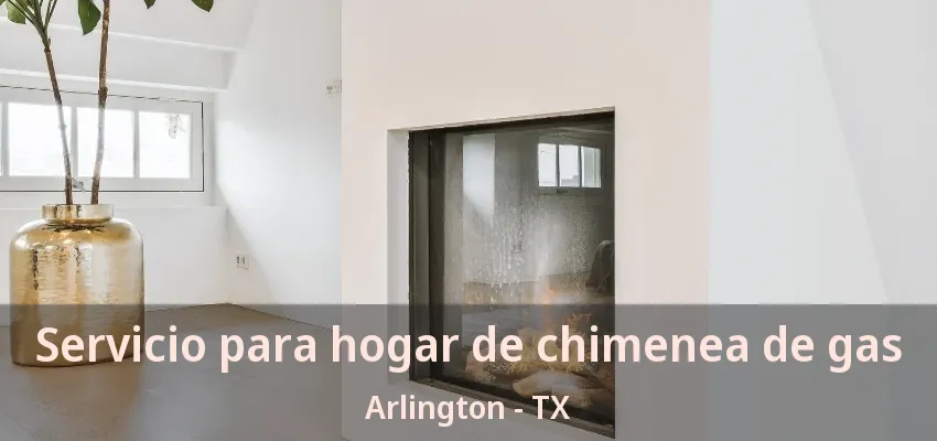 Servicio para hogar de chimenea de gas Arlington - TX Servicio para hogar de chimenea de gas Arlington - TX