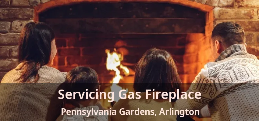 Servicing Gas Fireplace Pennsylvania Gardens, Arlington - TX