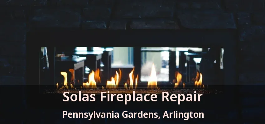 Solas Fireplace Repair Pennsylvania Gardens, Arlington - TX