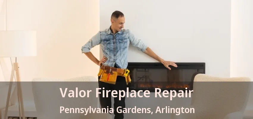 Valor Fireplace Repair Pennsylvania Gardens, Arlington - TX