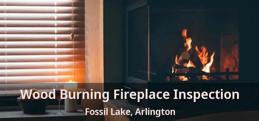 Wood Burning Fireplace Inspection Fossil Lake, Arlington - TX