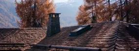 Chimney Animal Removal Warnell W W West, Arlington