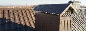 Chimney Cap Services Warnell W W West, Arlington
