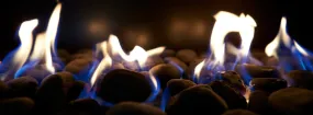 Gas Fireplace Embers Warnell W W West, Arlington