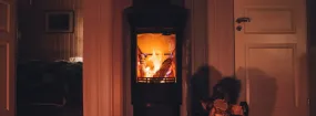 Hearthstone Stoves Fireplace Warnell W W West, Arlington