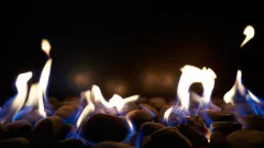 Real Fyre Fireplace Repair Warnell W W West, Arlington