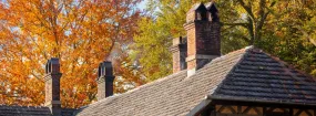 Residential Chimney Services Warnell W W West, Arlington