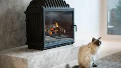 Wood Burning Fireplace Repair Overland West, Arlington