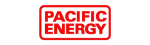 Pacific Energy Regency Fireplace Repair in Arlington