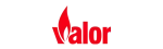 Valor Regency Fireplace Repair in Arlington